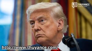 Trump Trade